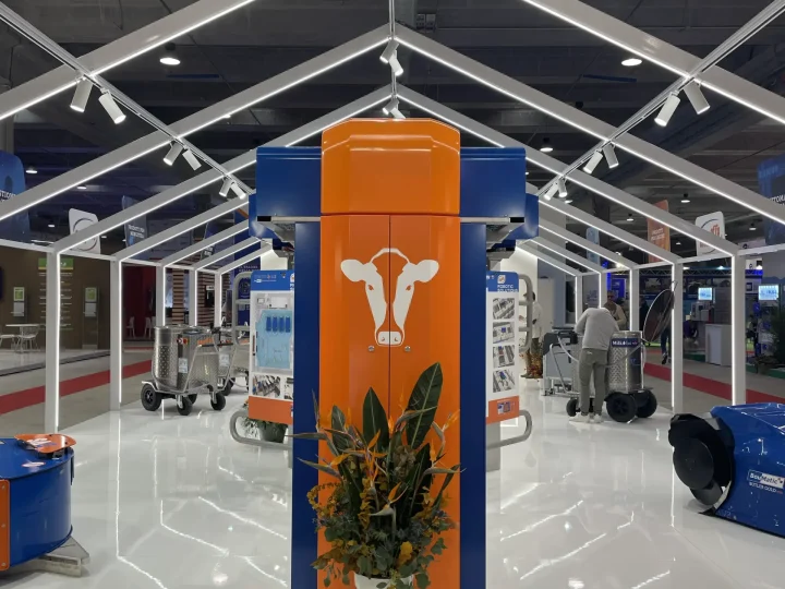 Enne Effe - F.Z.I. - Cremona