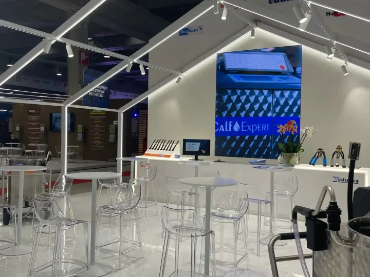 Enne Effe - F.Z.I. - Cremona