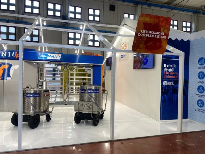 Enne Effe - Fazi - Montichiari