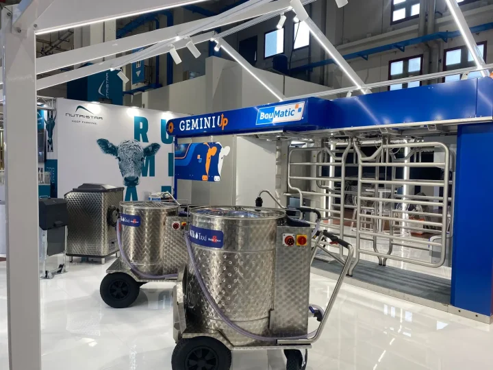 Enne Effe - Fazi - Montichiari